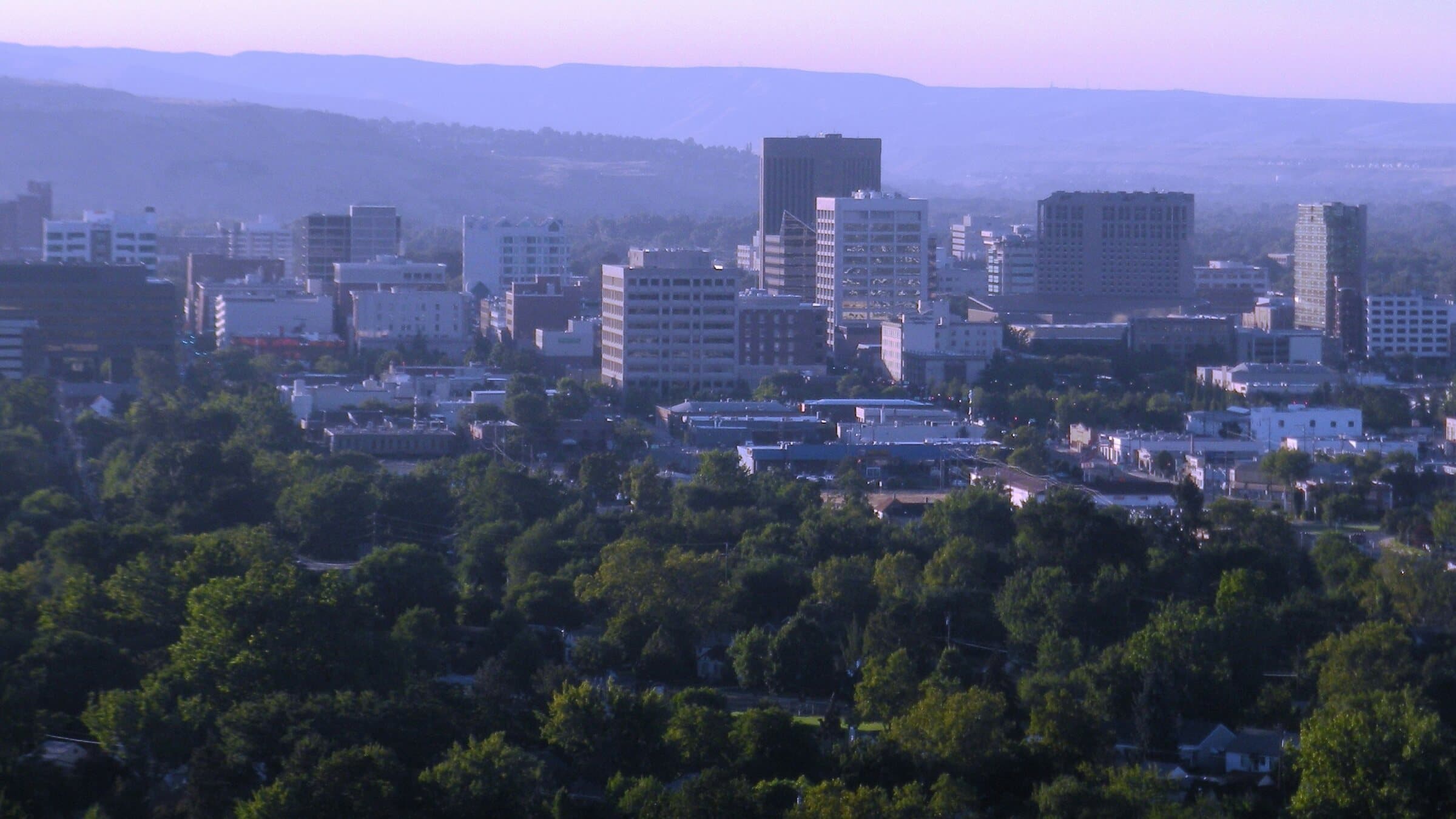 Downtown Boise skyline with foothills and tree canopy.